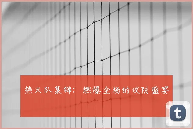 热火队集锦：燃爆全场的攻防盛宴